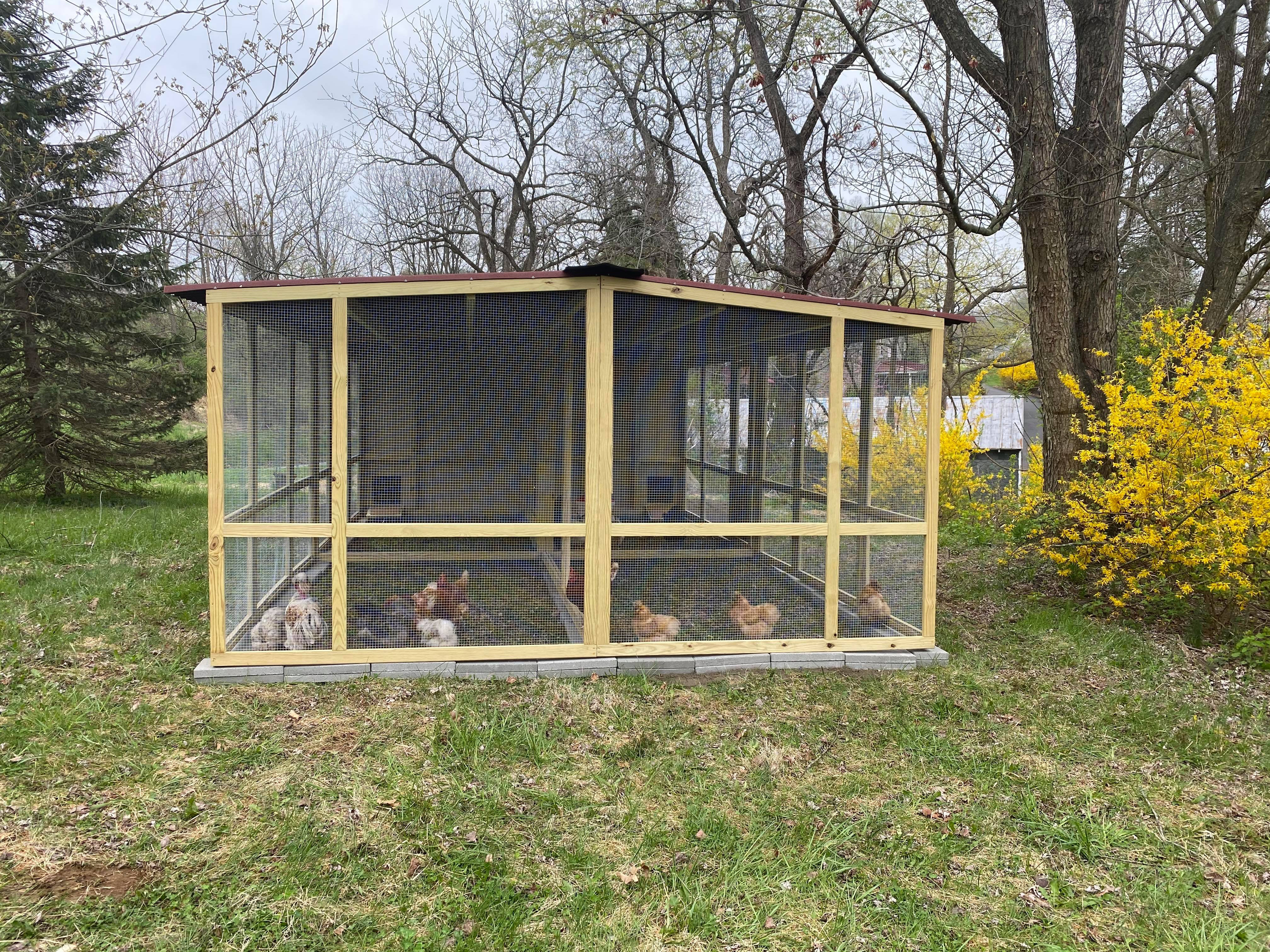 Dog kennel best sale chicken coop